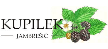 Kupilek
